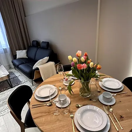 Apartment Designerskie Dwupokojowe Mieszkanie W Centrum Gliwice