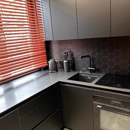 Designerskie Dwupokojowe Mieszkanie W Centrum Apartment Gliwice