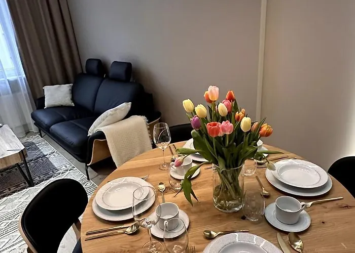 Apartment Designerskie Dwupokojowe Mieszkanie W Centrum Gliwice