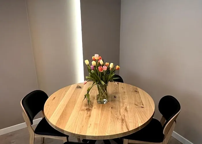 Apartment Designerskie Dwupokojowe Mieszkanie W Centrum Gliwice