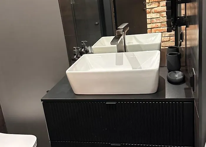 Apartment Designerskie Dwupokojowe Mieszkanie W Centrum Gliwice